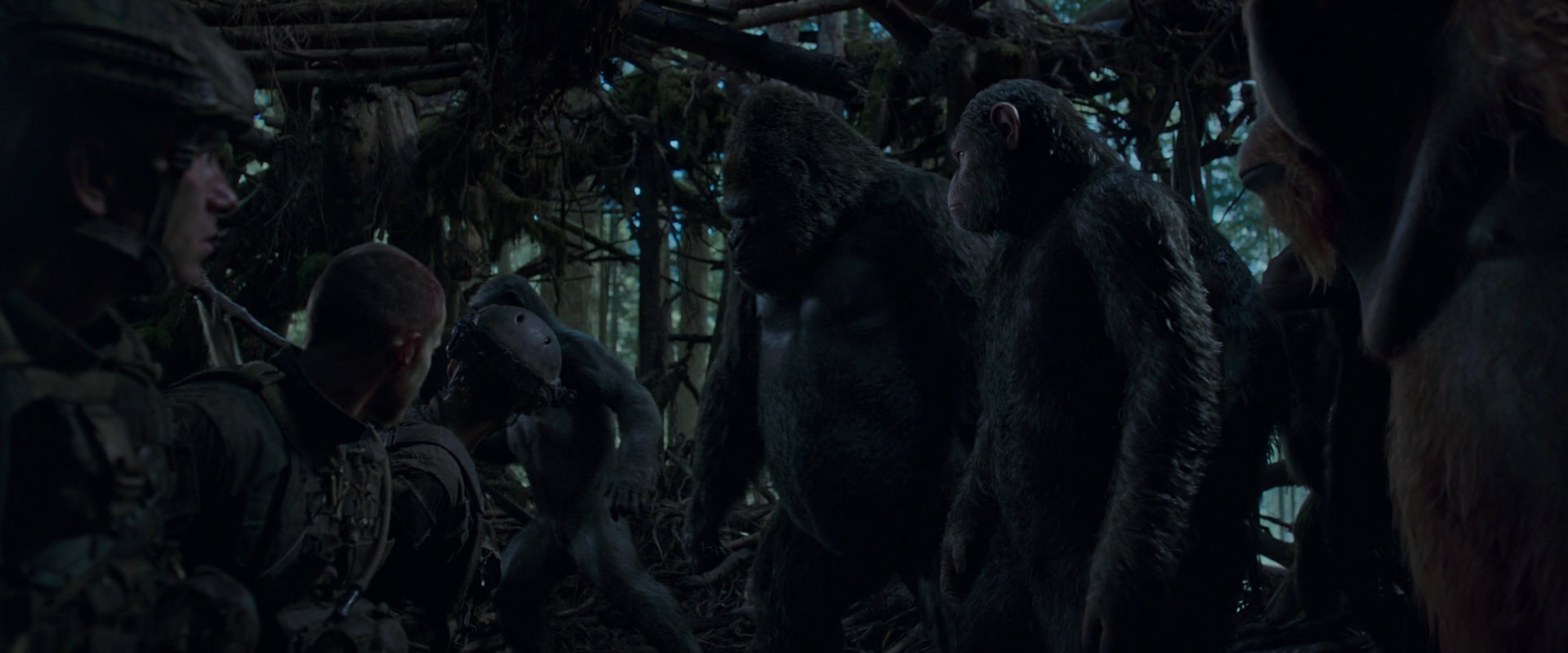 War for the Planet of the Apes (2017) movie still 1192