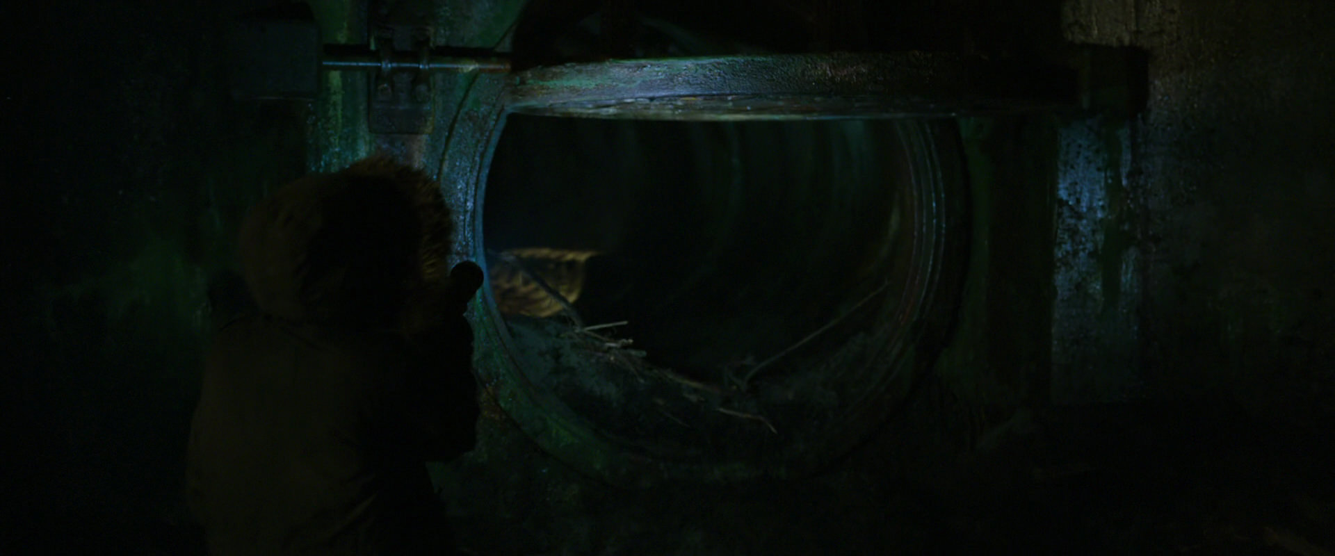 War for the Planet of the Apes (2017) screencap 11925