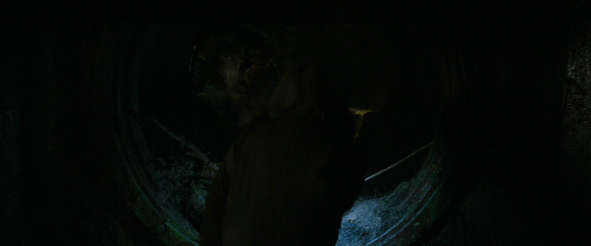 War for the Planet of the Apes (2017) HD screenshot 11930