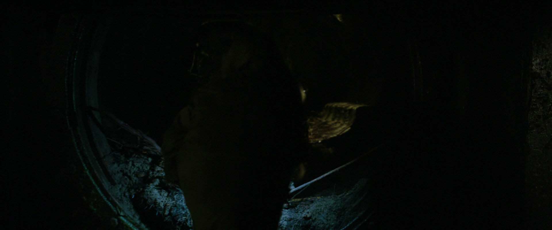 War for the Planet of the Apes (2017) screencap 11931