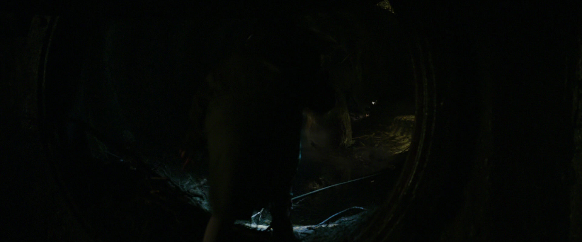War for the Planet of the Apes (2017) screencap 11934