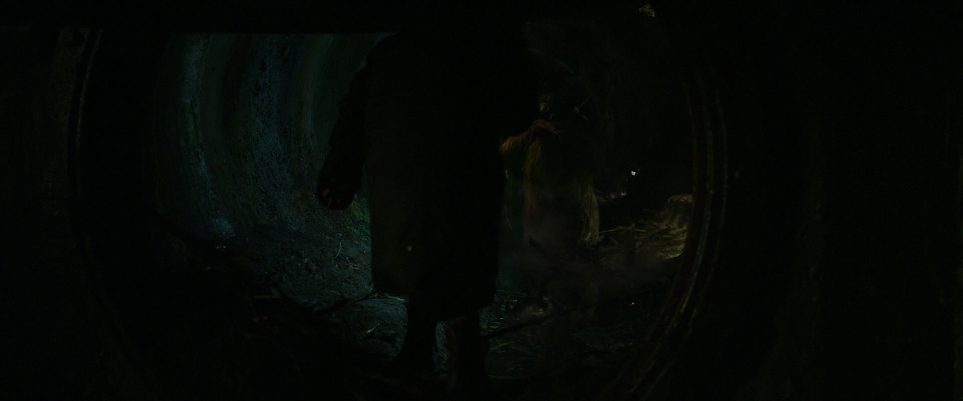 War for the Planet of the Apes (2017) movie still 11935