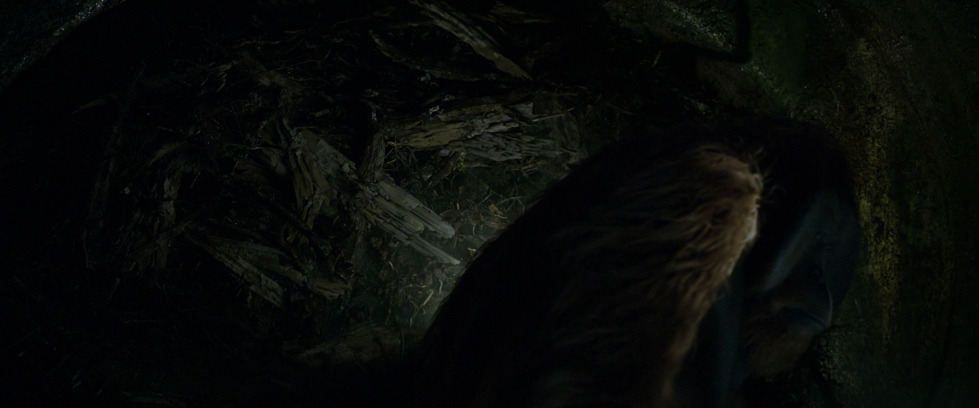 War for the Planet of the Apes (2017) screencap 11937
