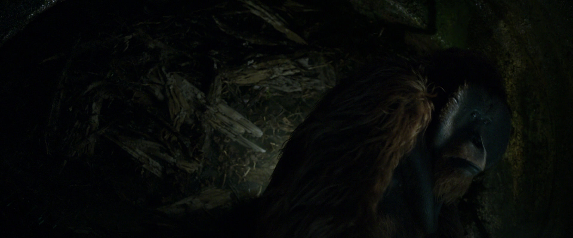 War for the Planet of the Apes (2017) movie still 11938