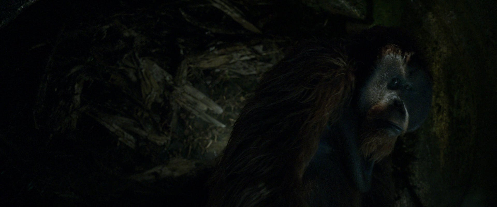 War for the Planet of the Apes (2017) HD screenshot 11939