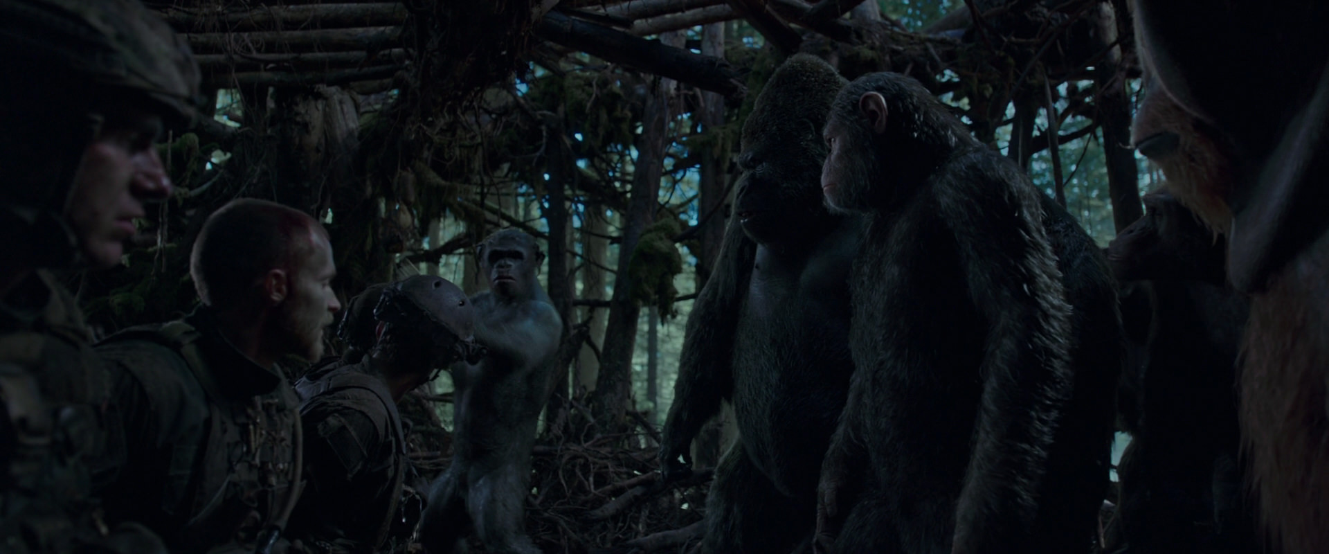 War for the Planet of the Apes (2017) screencap 1194