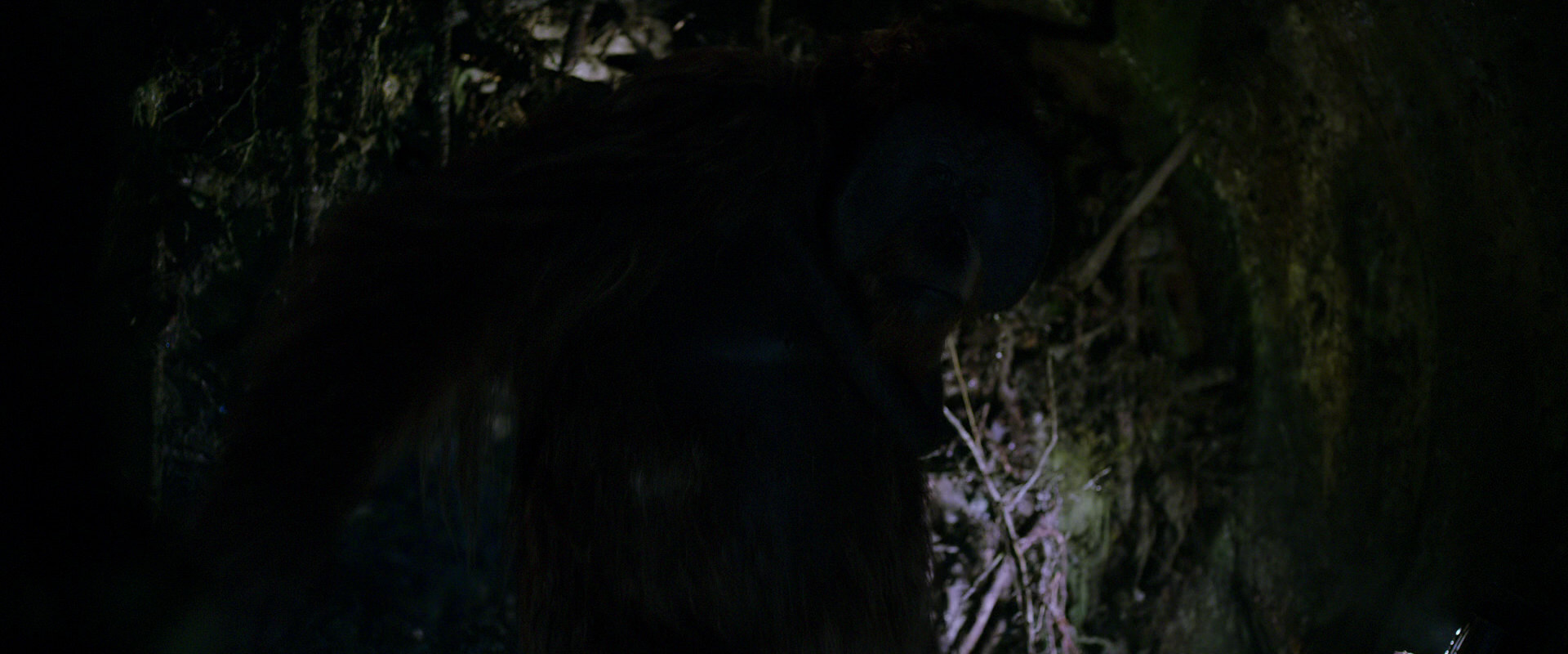 War for the Planet of the Apes (2017) screencap 11943