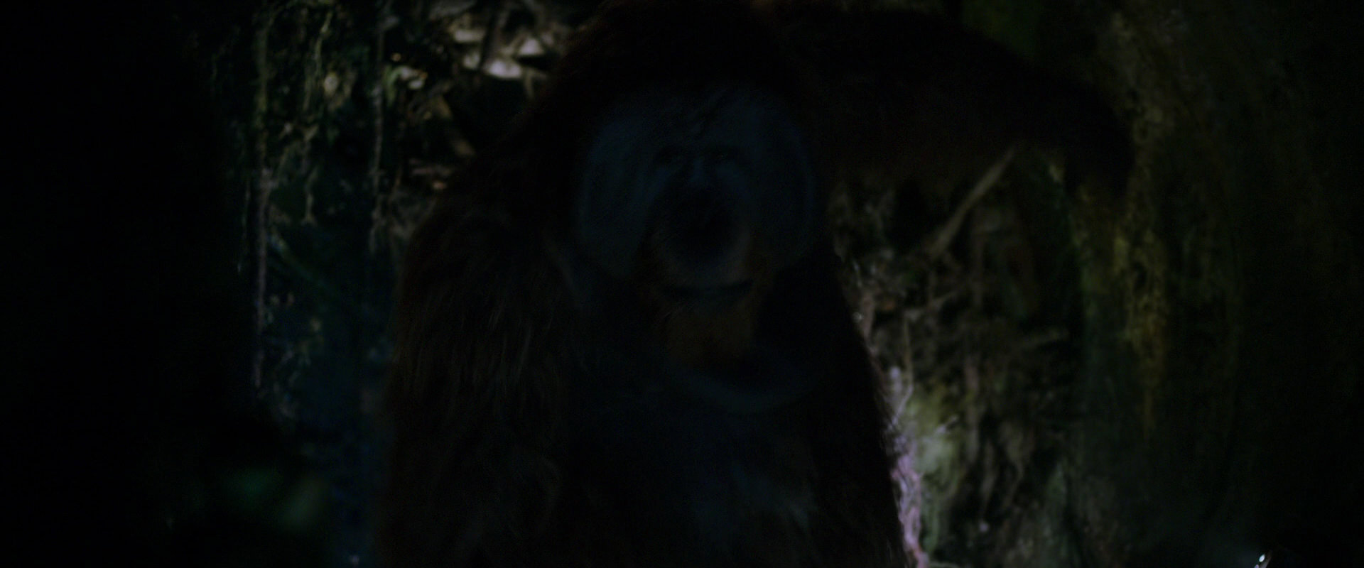 War for the Planet of the Apes (2017) movie still 11944