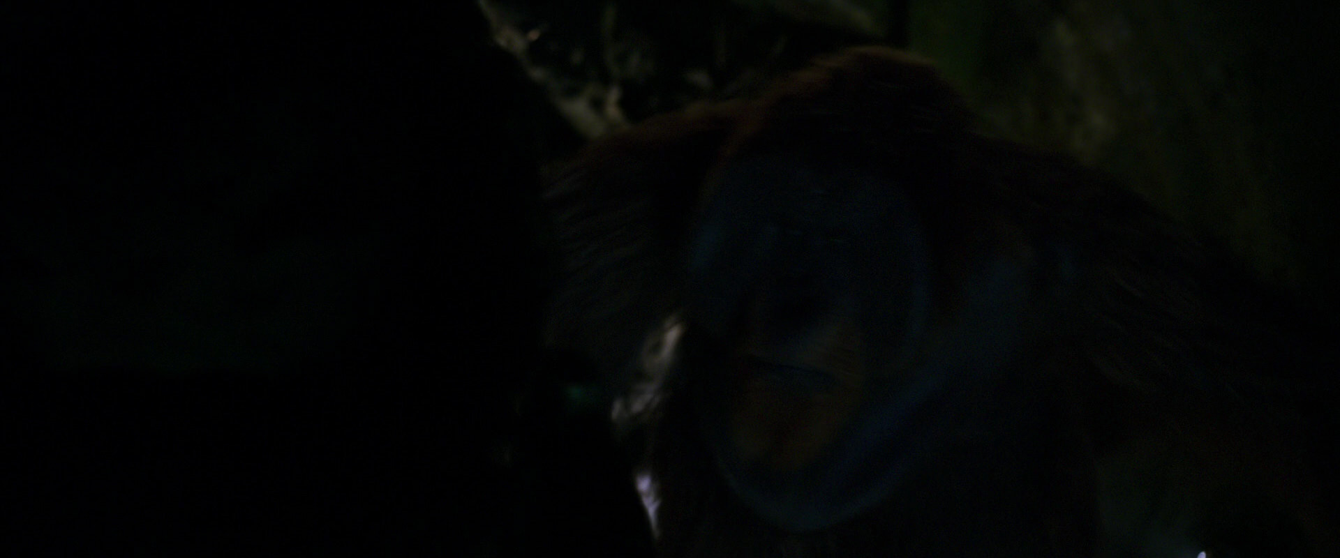 War for the Planet of the Apes (2017) screencap 11946