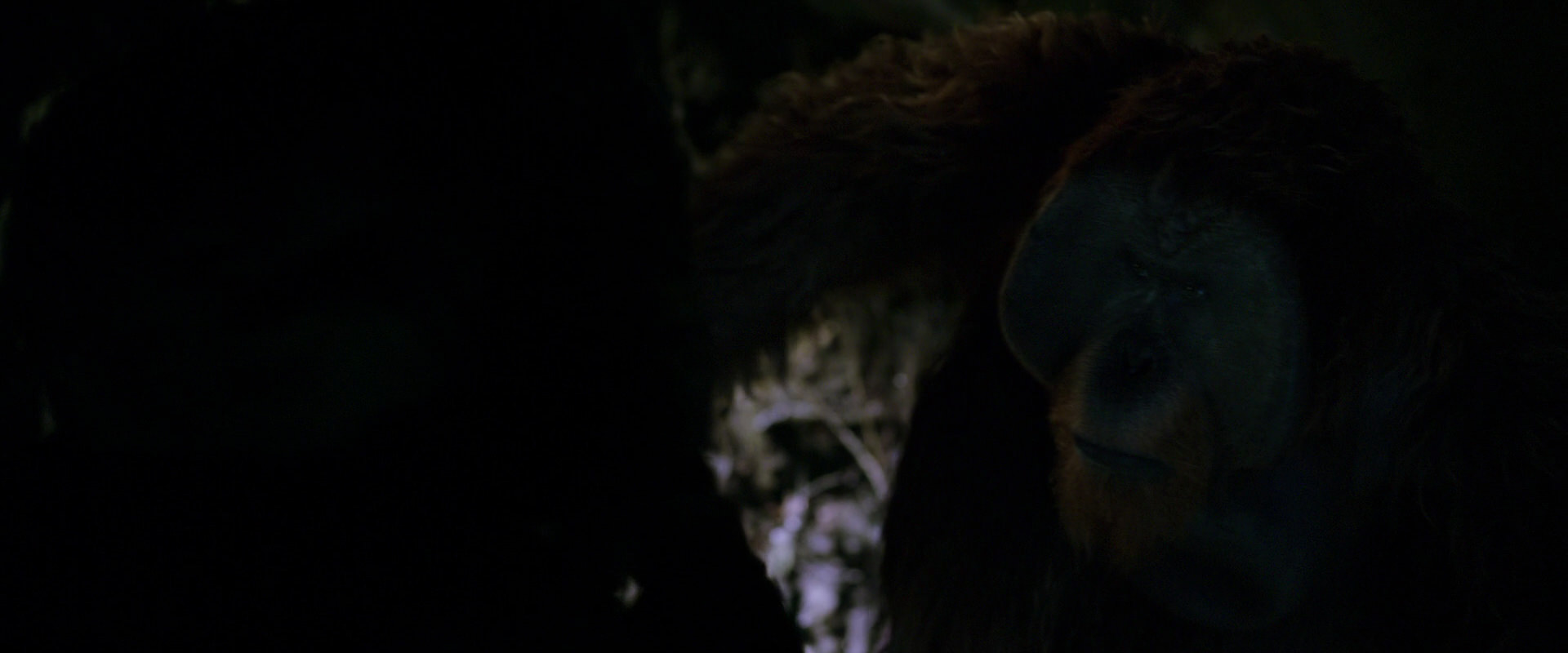 War for the Planet of the Apes (2017) movie still 11947