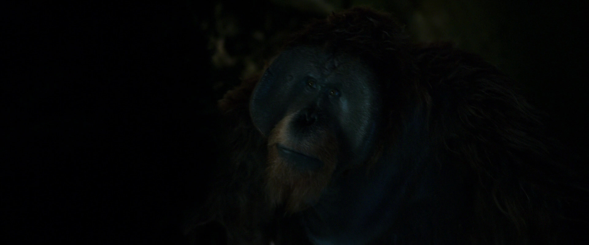 War for the Planet of the Apes (2017) screencap 11949