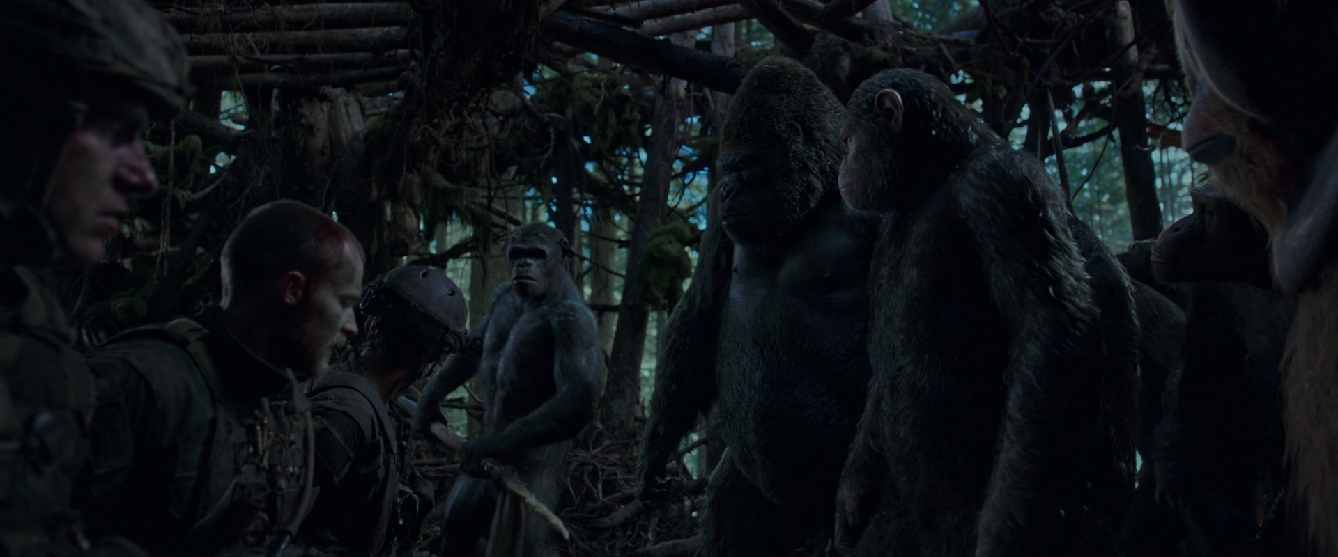 War for the Planet of the Apes (2017) movie still 1195