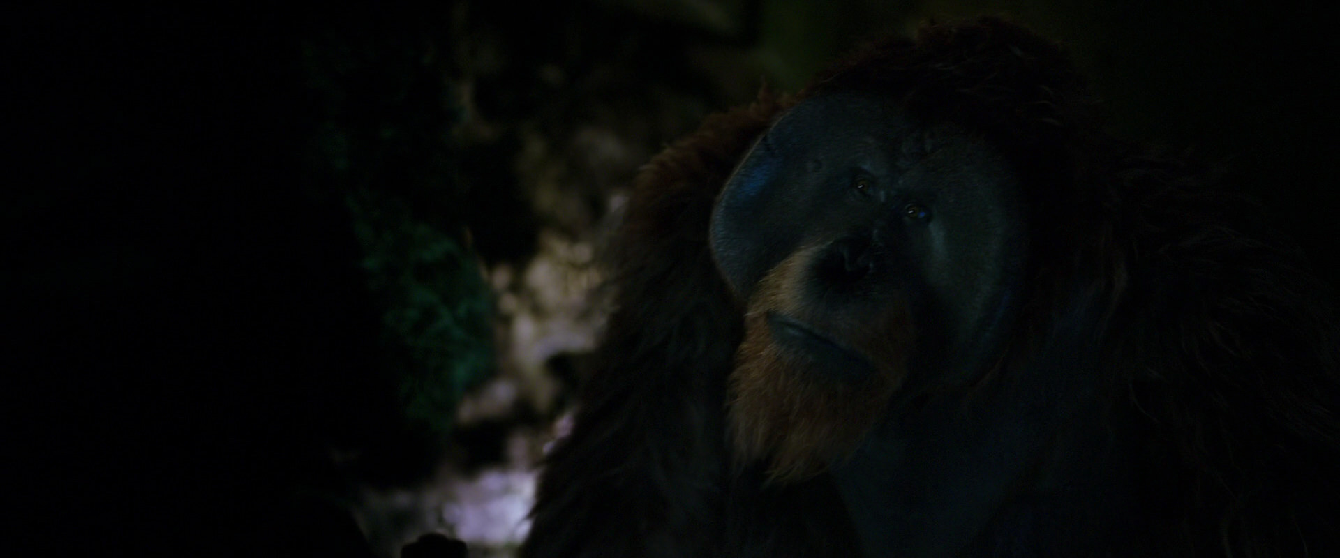 War for the Planet of the Apes (2017) movie still 11950