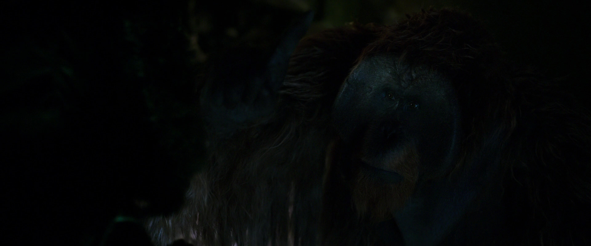 War for the Planet of the Apes (2017) screencap 11952