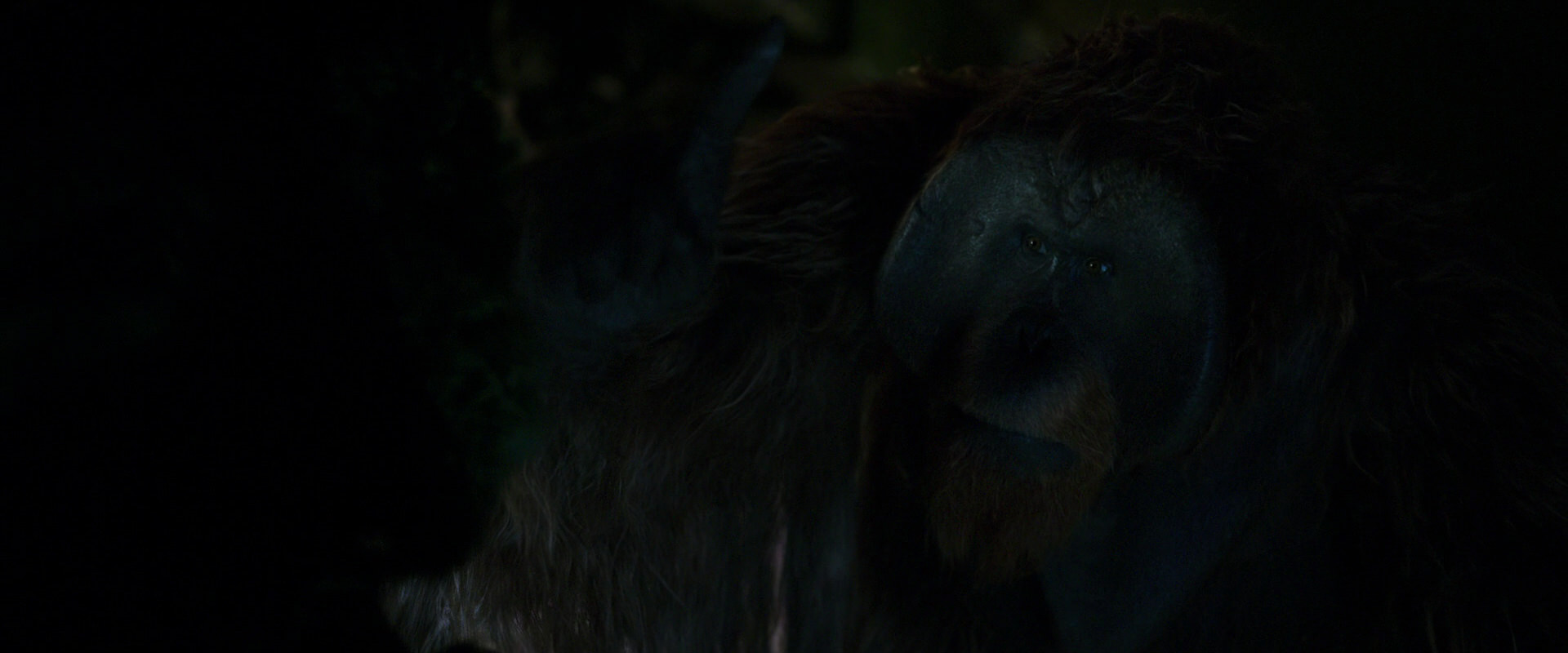 War for the Planet of the Apes (2017) movie still 11953