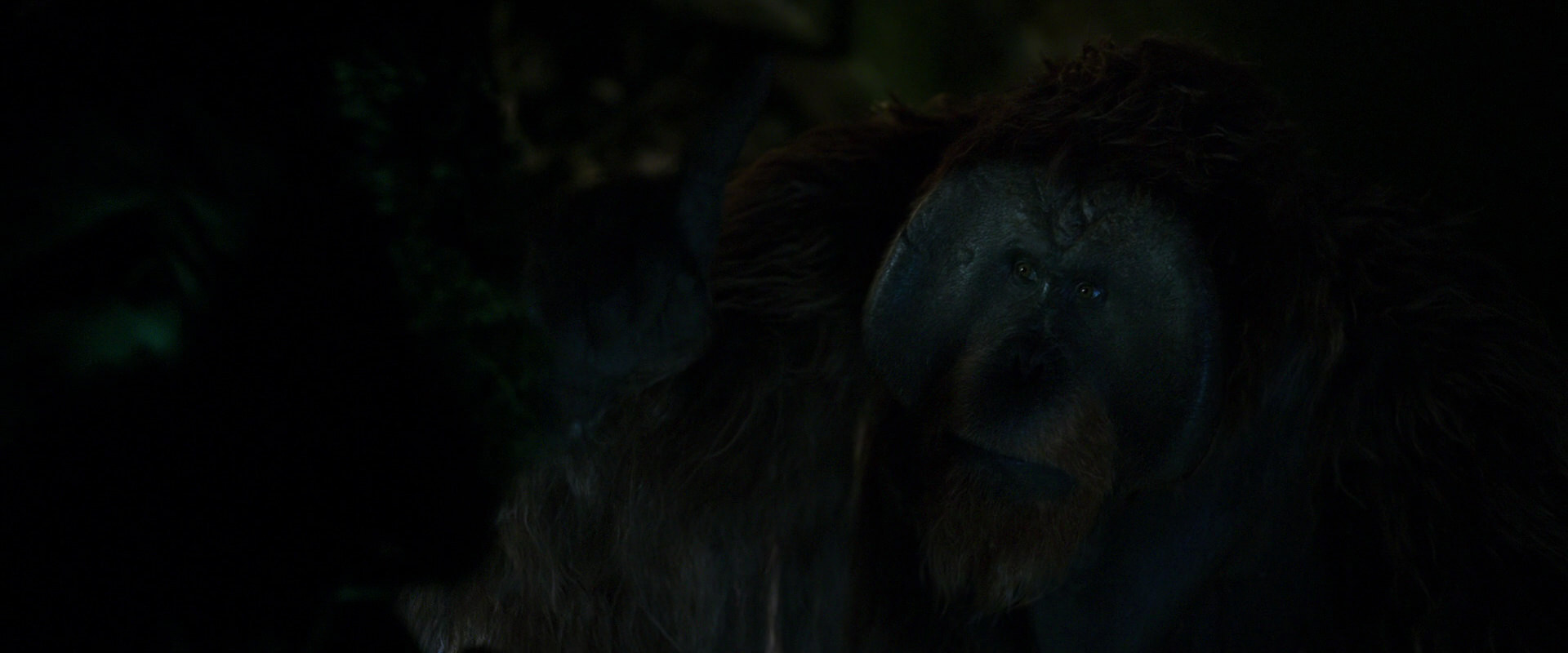 War for the Planet of the Apes (2017) HD screenshot 11954