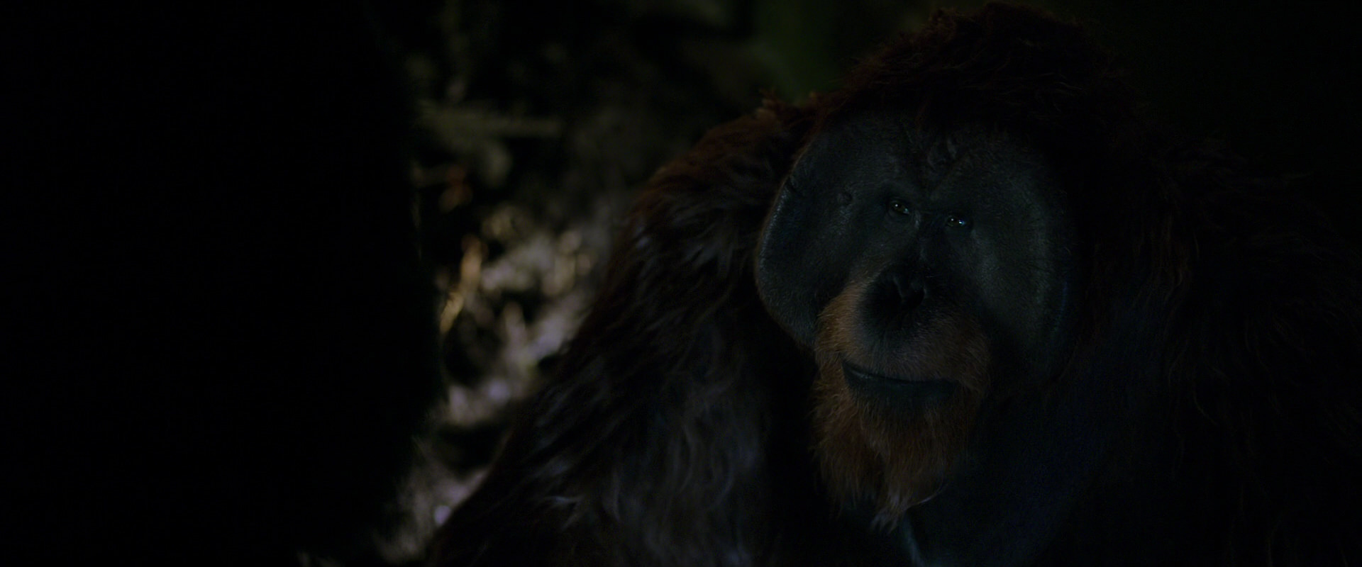 War for the Planet of the Apes (2017) movie still 11959