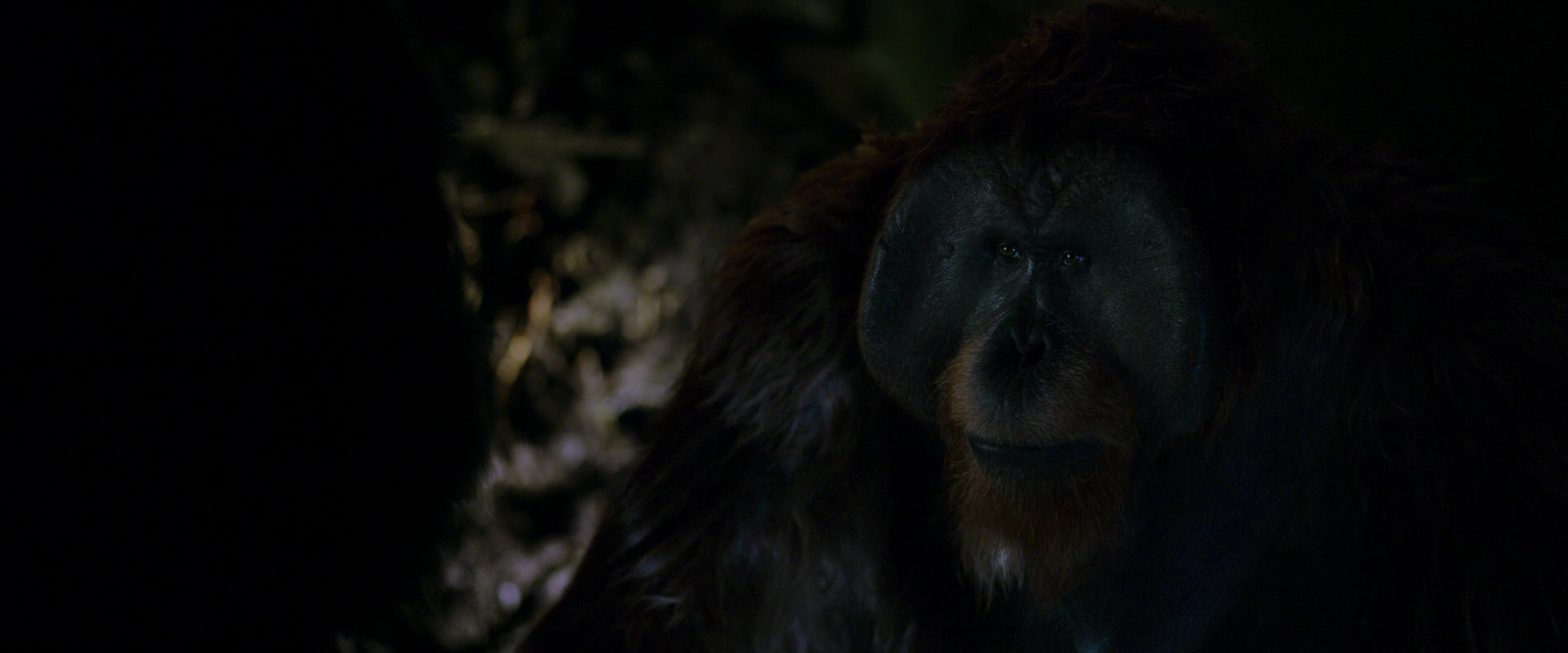 War for the Planet of the Apes (2017) HD screenshot 11960