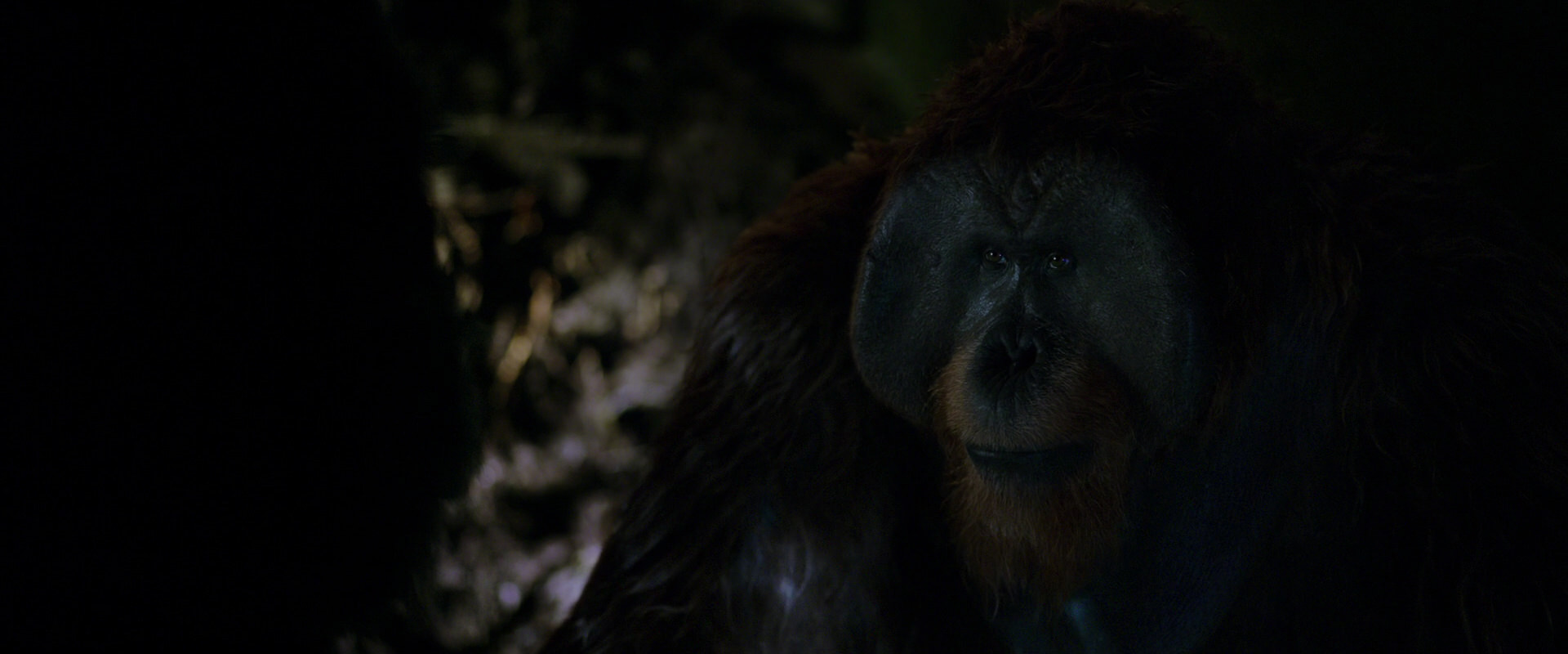 War for the Planet of the Apes (2017) screencap 11961