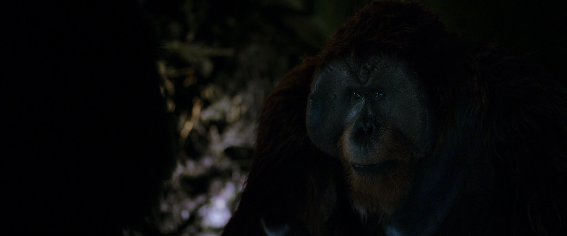 War for the Planet of the Apes (2017) movie still 11962