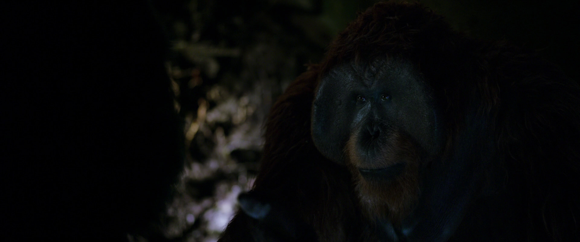 War for the Planet of the Apes (2017) HD screenshot 11963