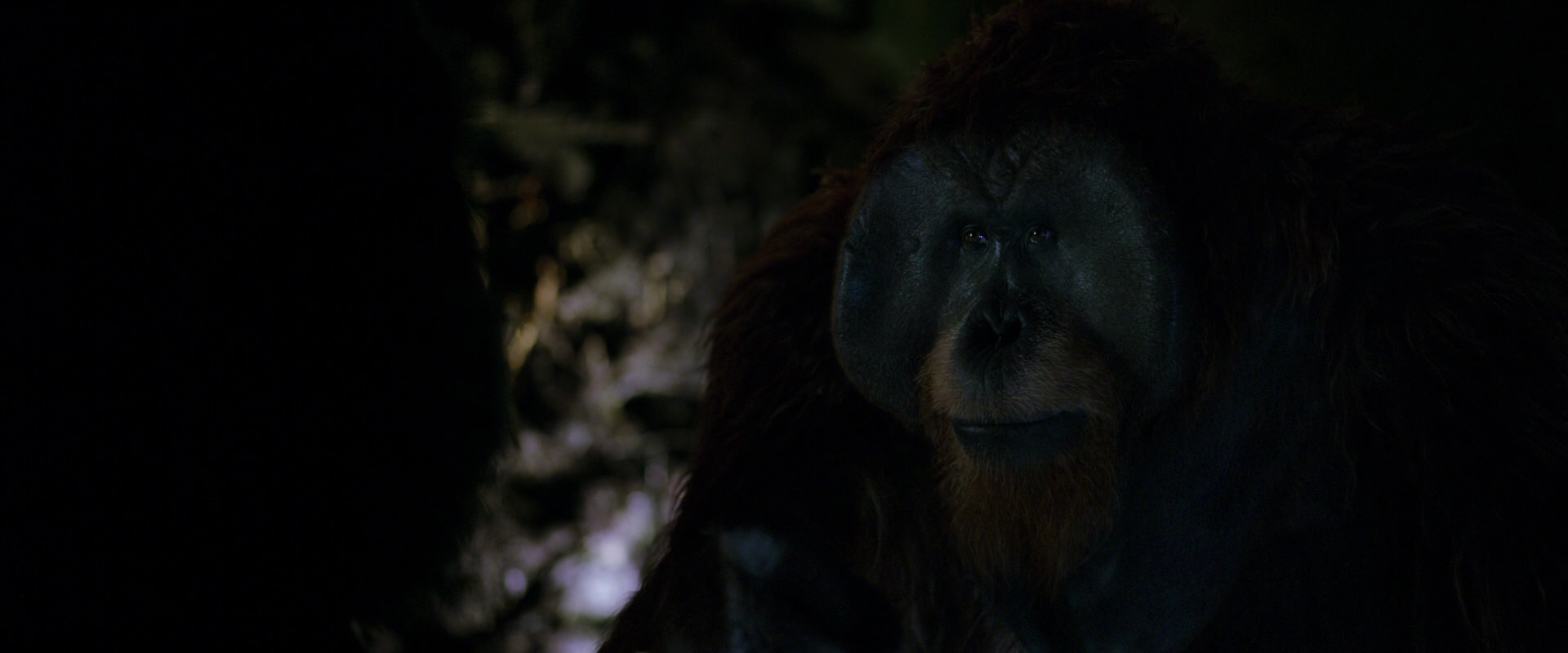 War for the Planet of the Apes (2017) screencap 11964