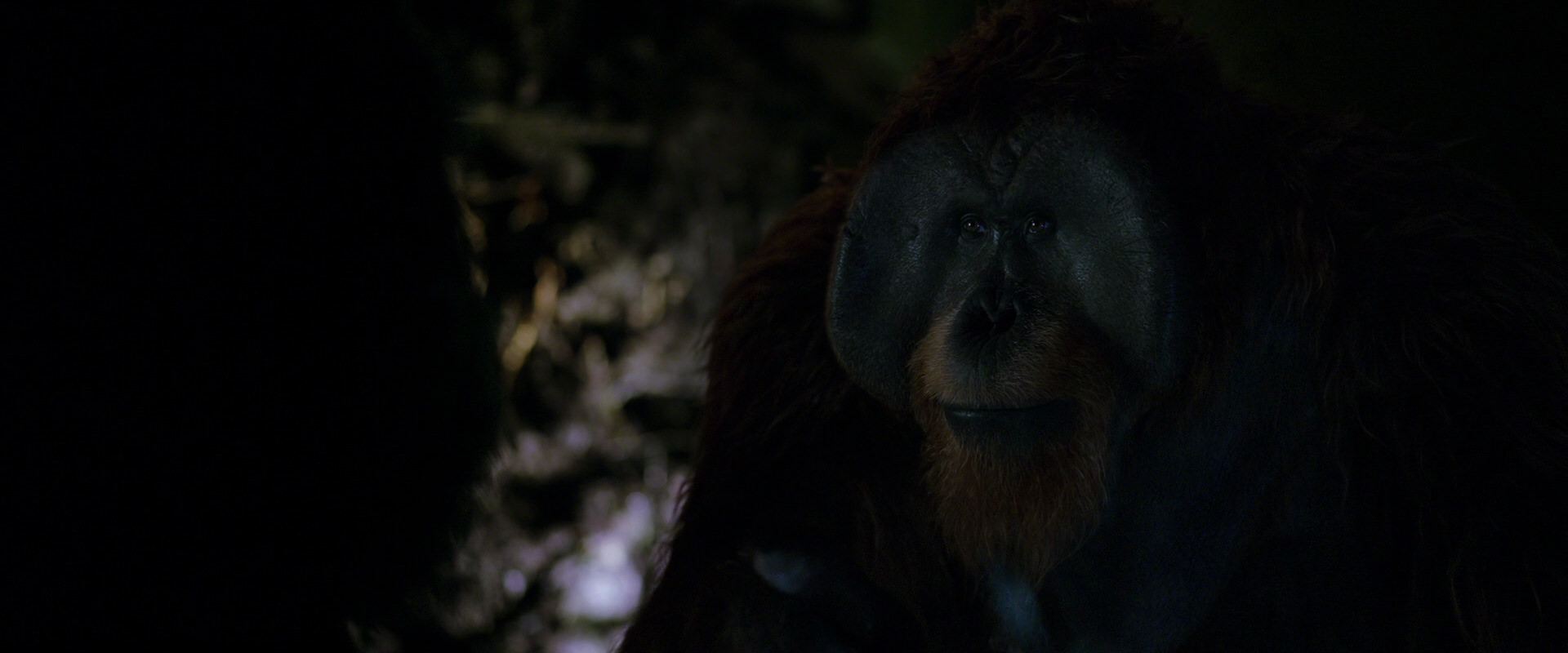 War for the Planet of the Apes (2017) movie still 11965