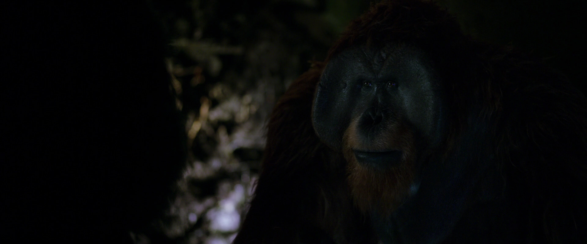 War for the Planet of the Apes (2017) HD screenshot 11966