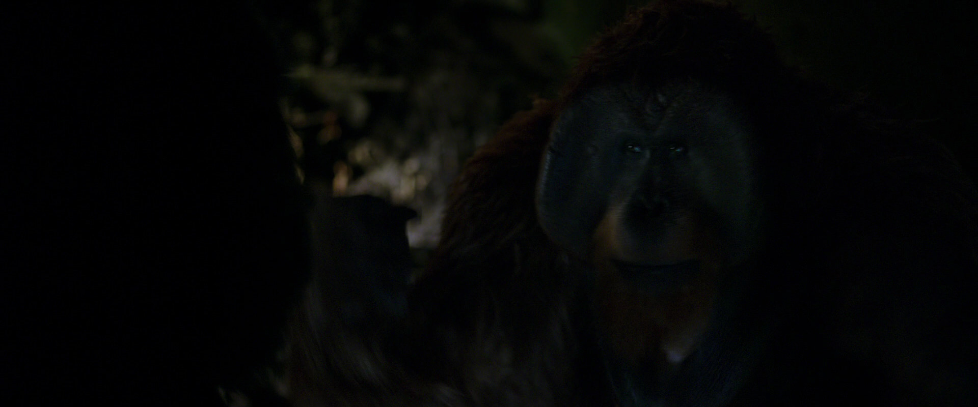 War for the Planet of the Apes (2017) screencap 11967