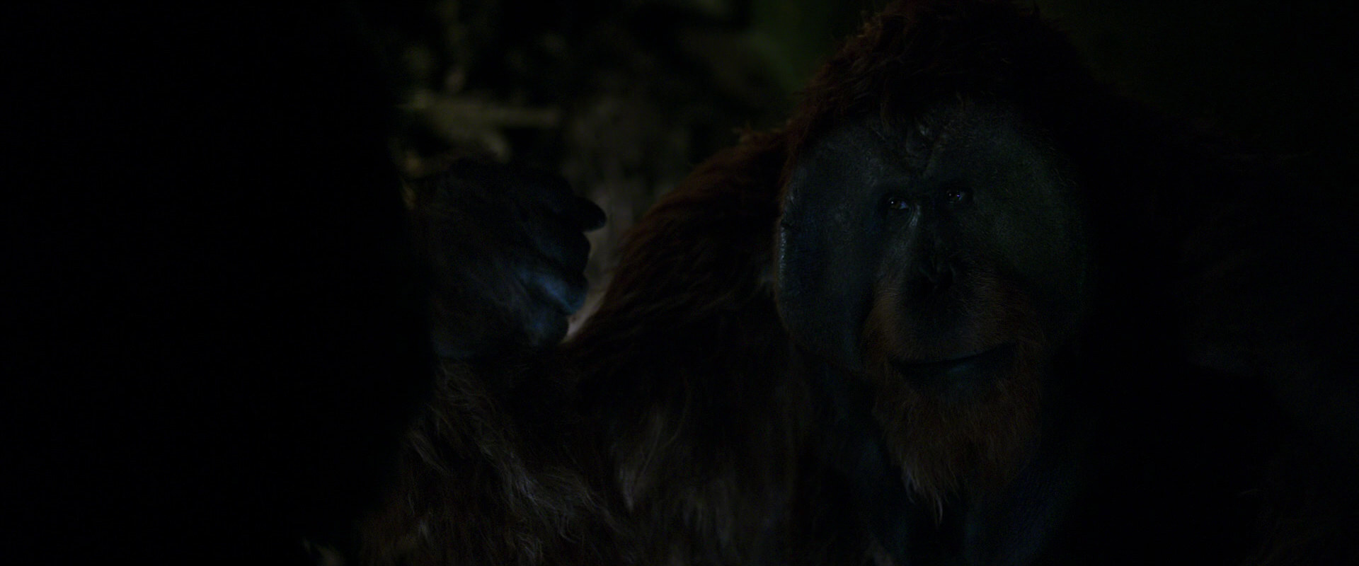 War for the Planet of the Apes (2017) movie still 11968