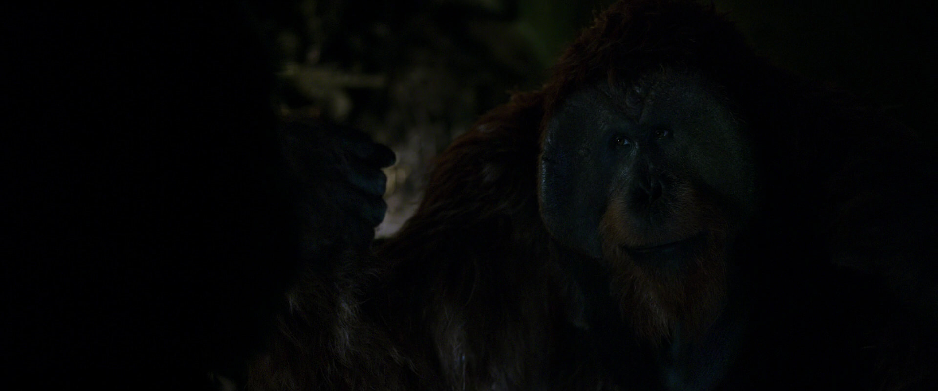 War for the Planet of the Apes (2017) HD screenshot 11969