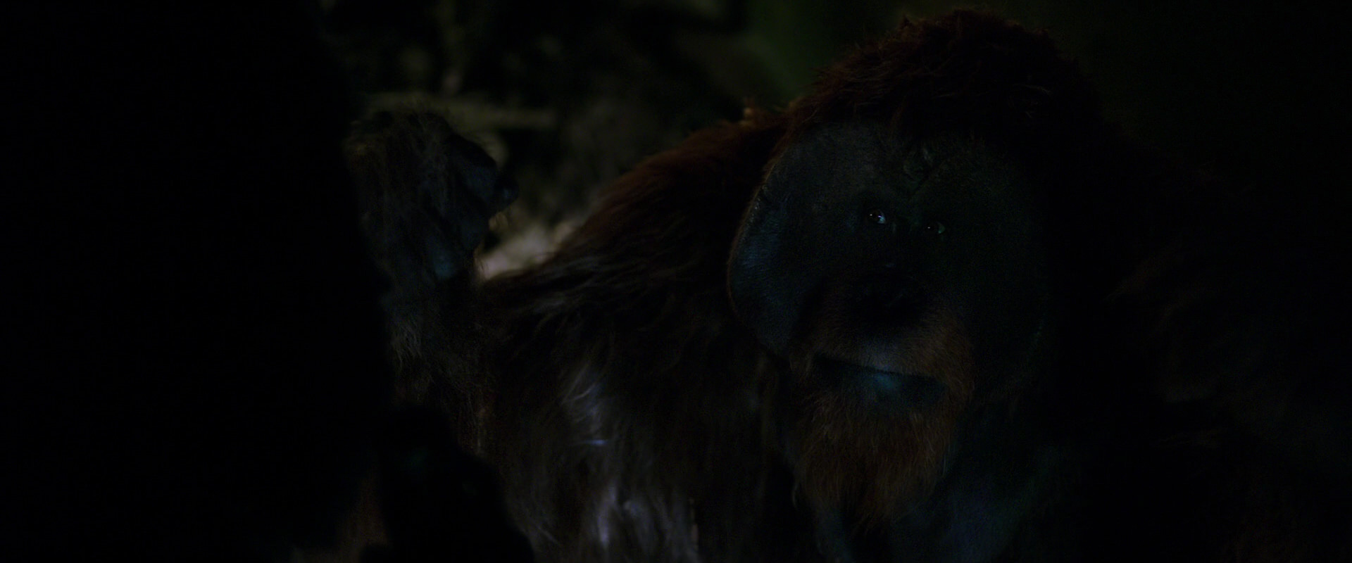 War for the Planet of the Apes (2017) screencap 11976