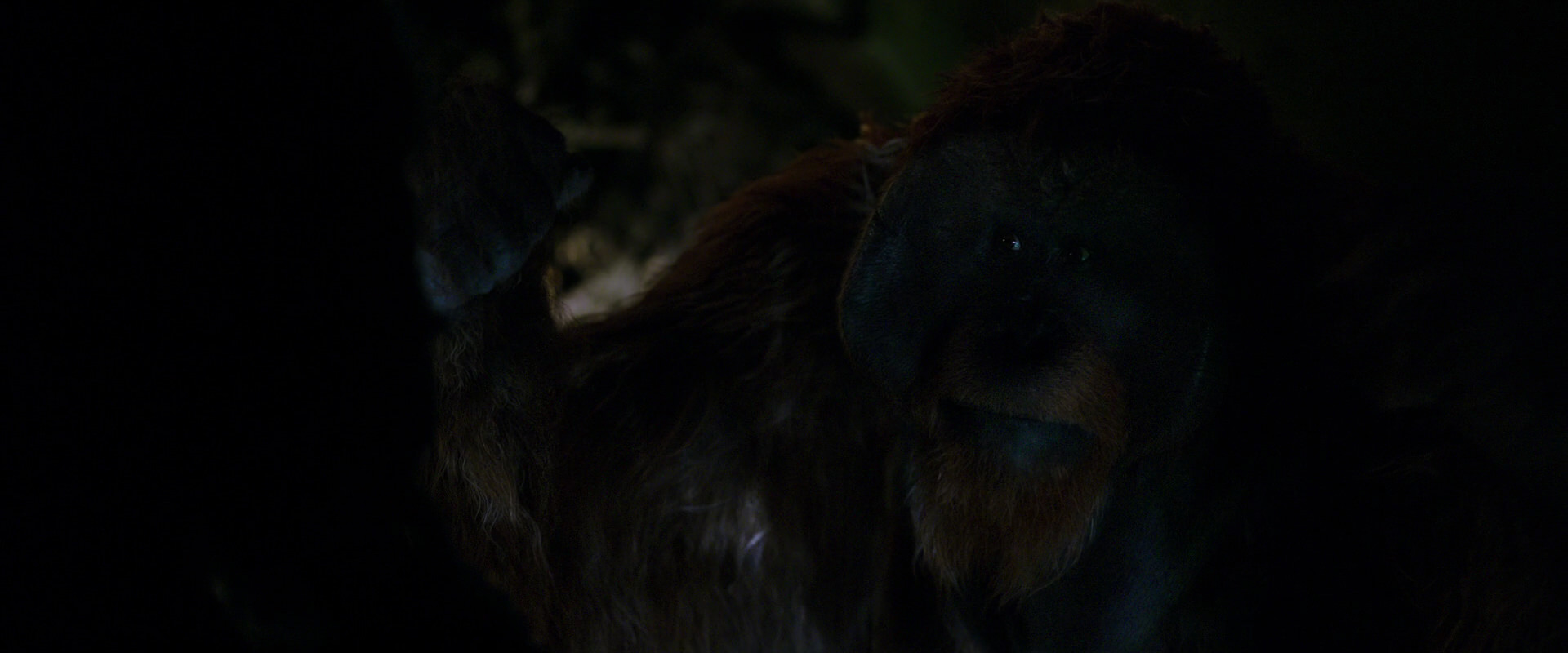 War for the Planet of the Apes (2017) movie still 11977