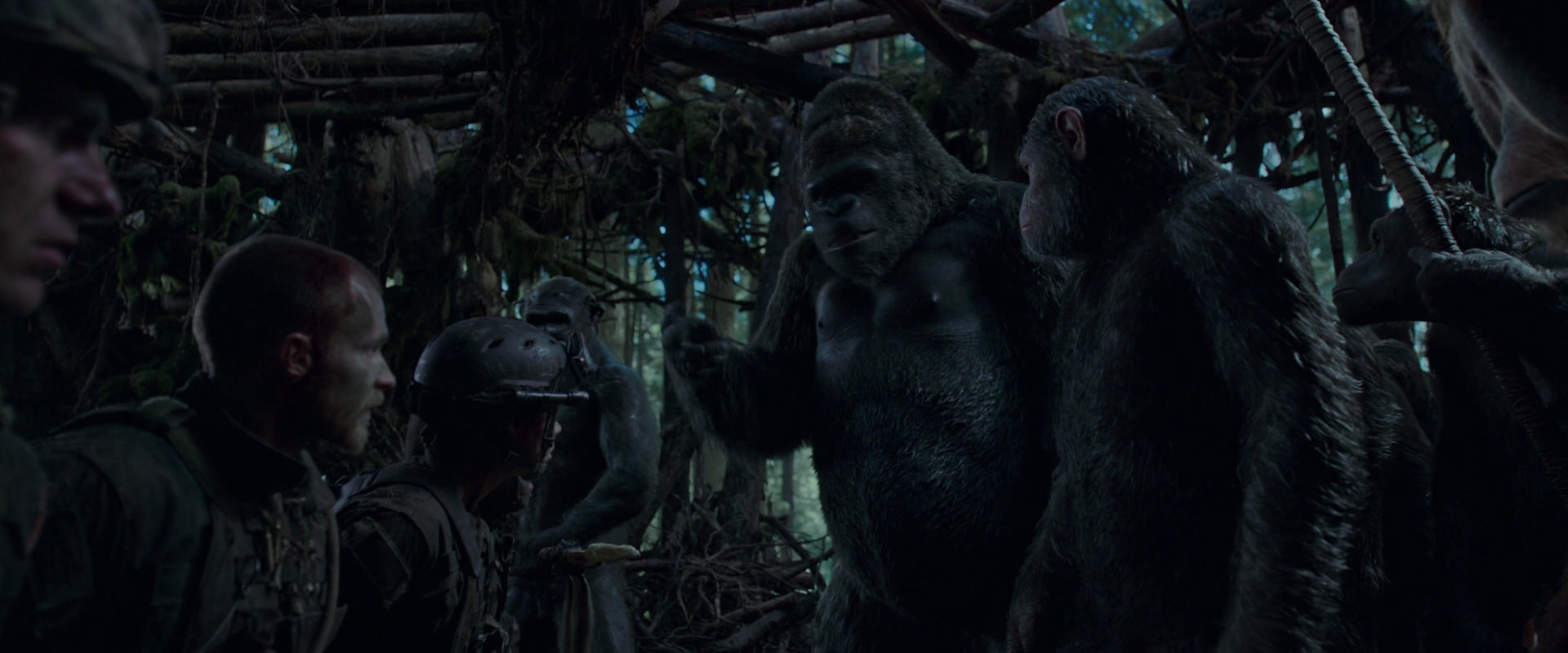War for the Planet of the Apes (2017) movie still 1198