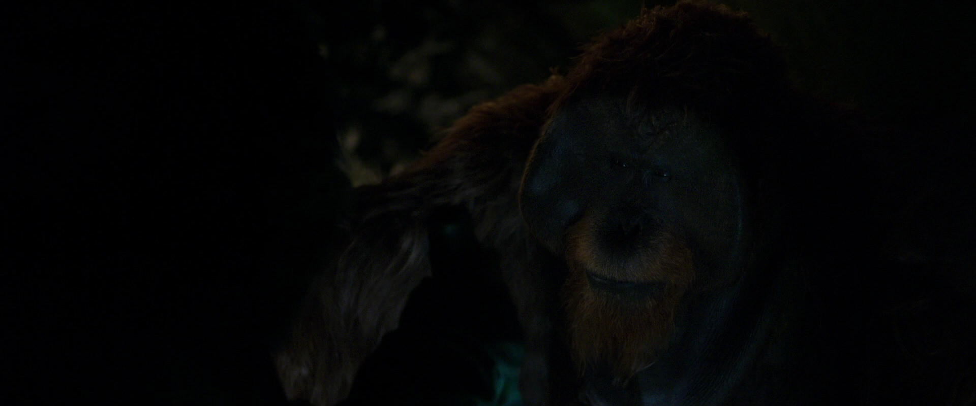 War for the Planet of the Apes (2017) movie still 11983
