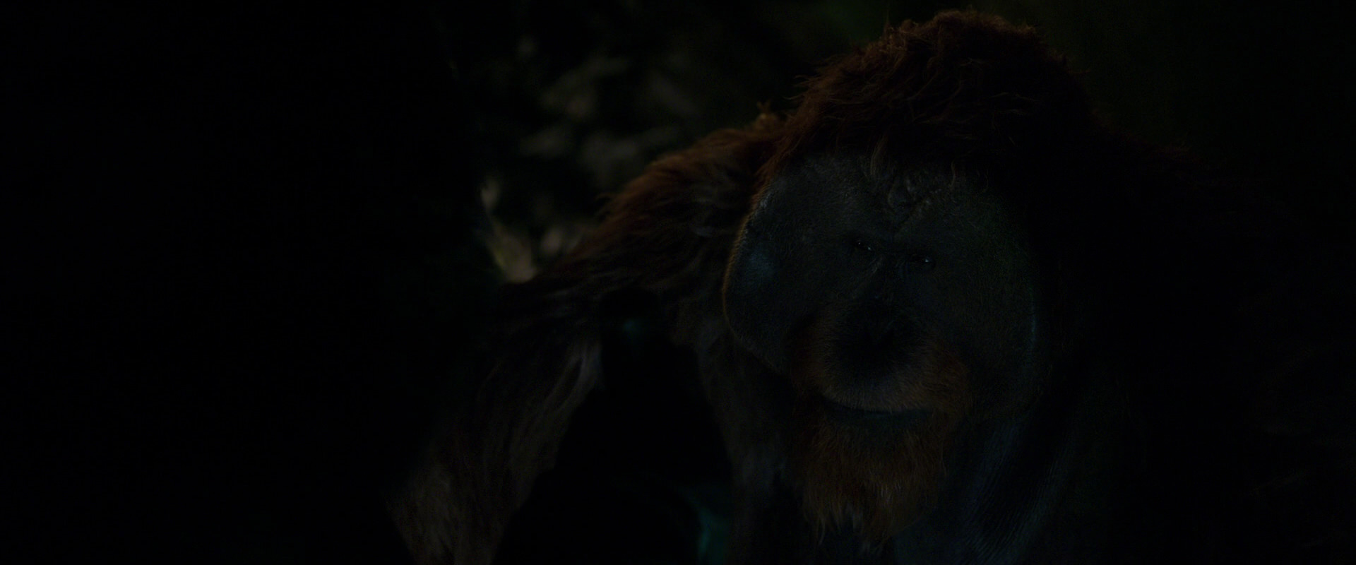 War for the Planet of the Apes (2017) screencap 11985
