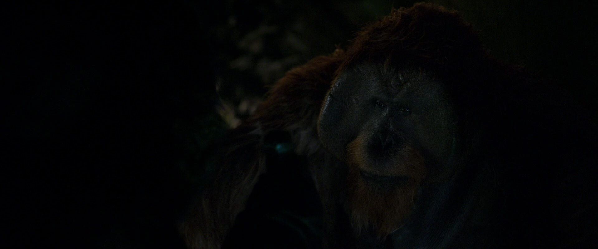 War for the Planet of the Apes (2017) movie still 11986