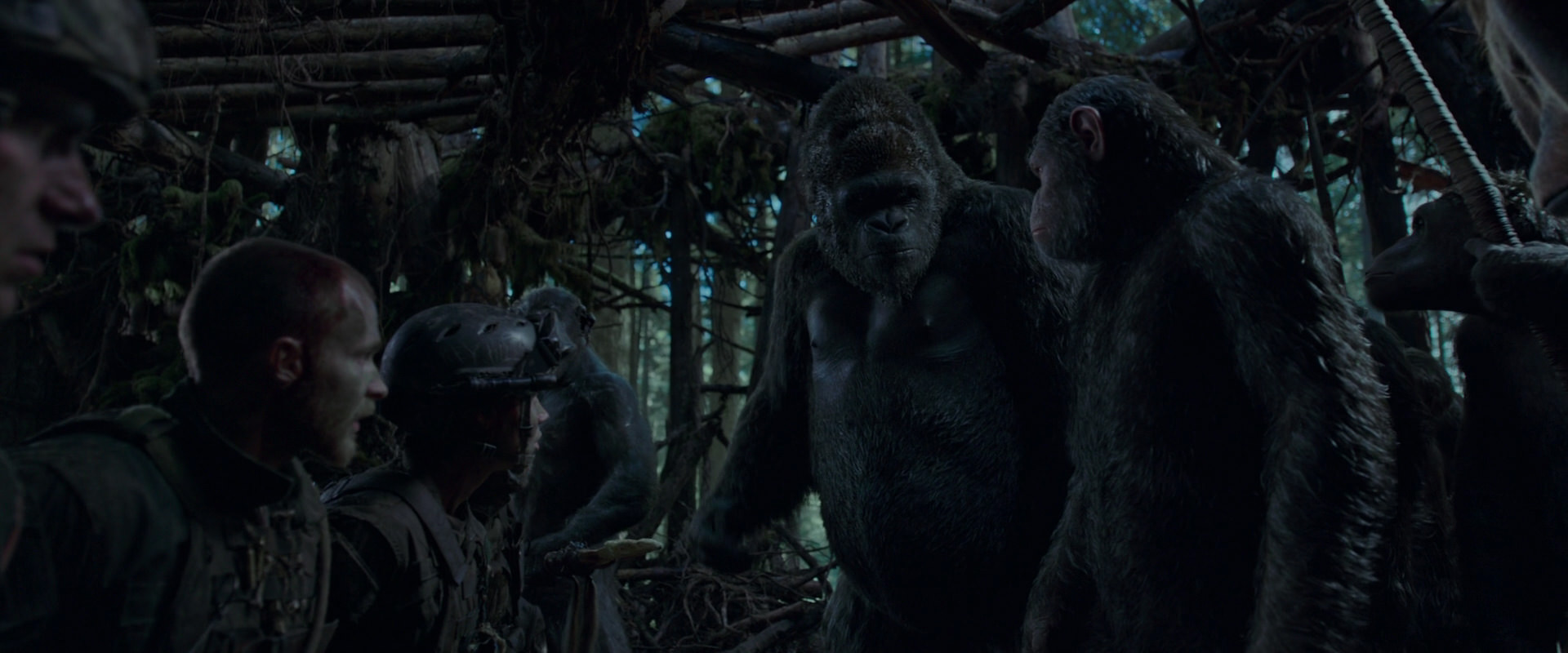 War for the Planet of the Apes (2017) HD screenshot 1199
