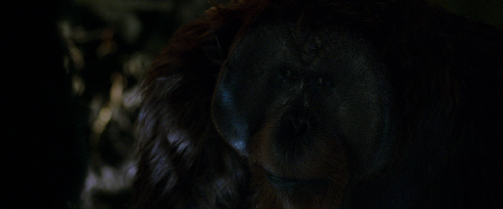 War for the Planet of the Apes (2017) screencap 11994