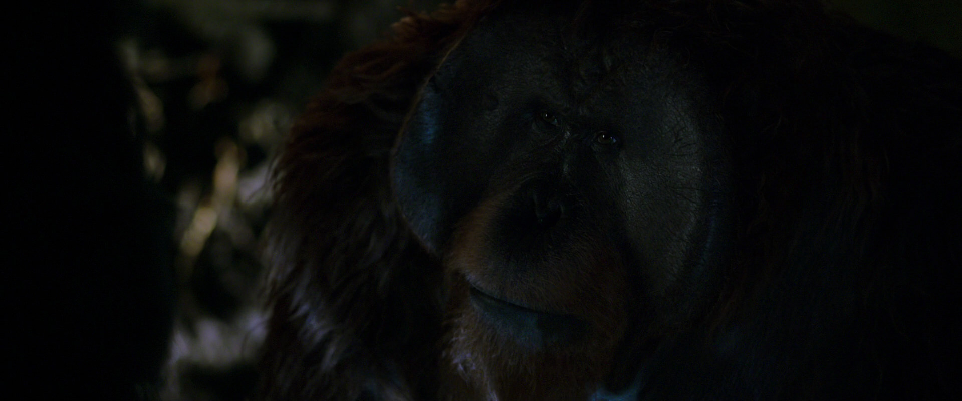 War for the Planet of the Apes (2017) movie still 11995