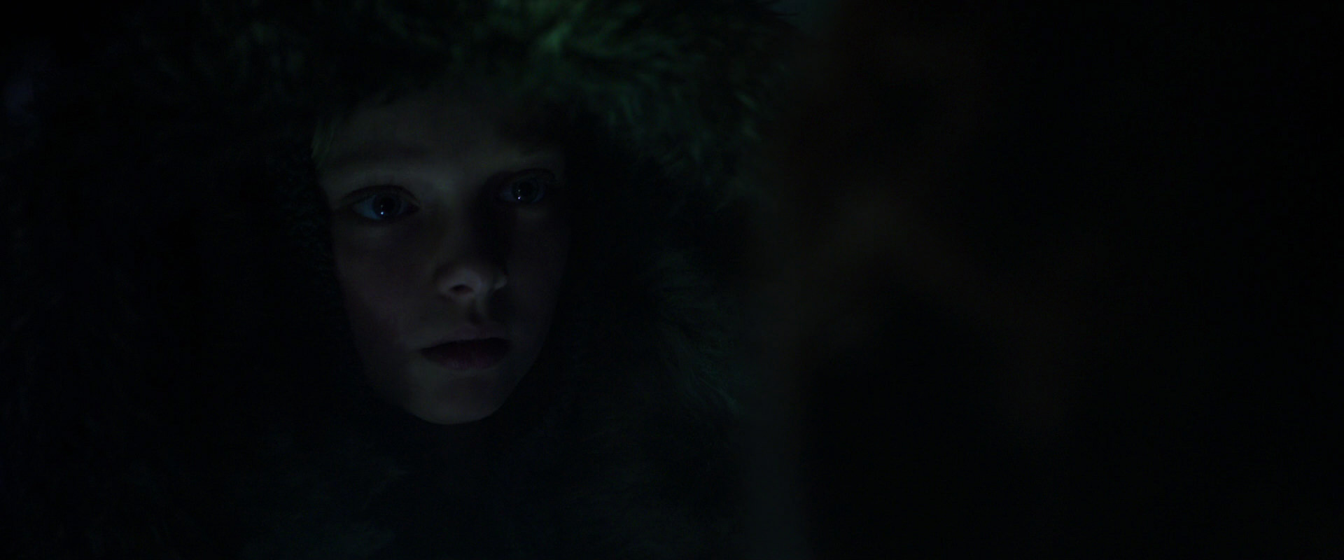War for the Planet of the Apes (2017) screencap 11997