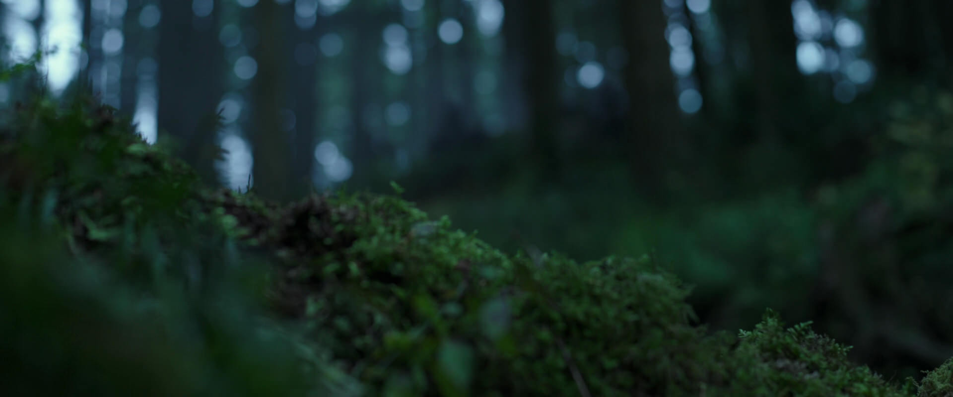 War for the Planet of the Apes (2017) screencap 120