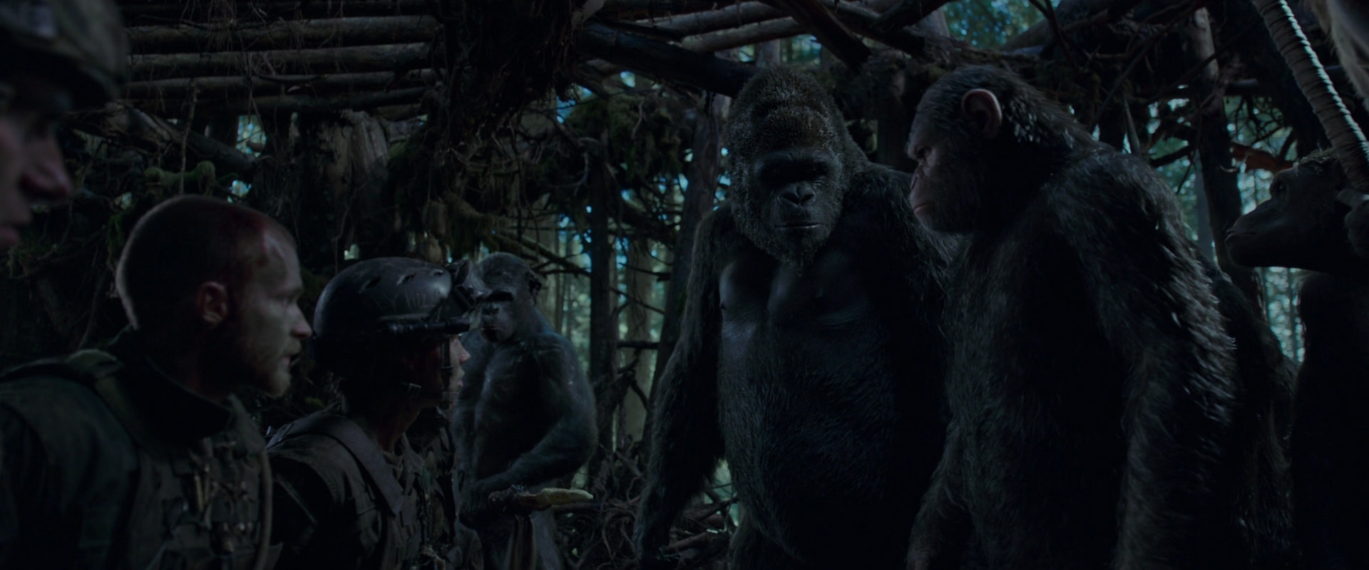 War for the Planet of the Apes (2017) screencap 1200