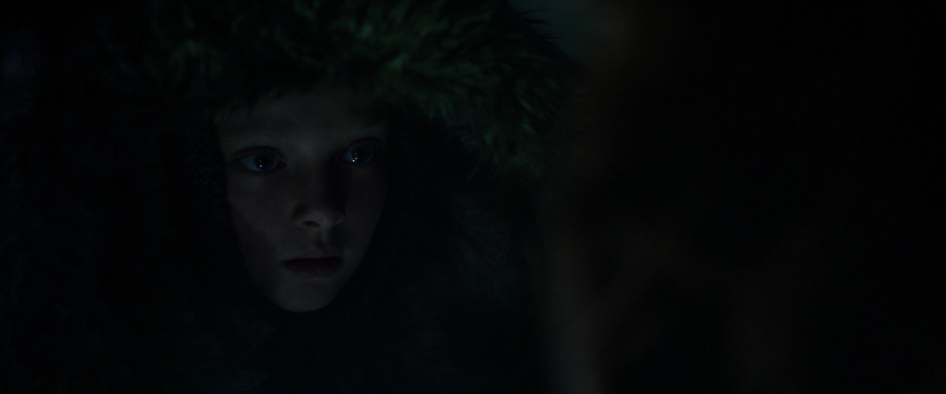 War for the Planet of the Apes (2017) screencap 12000