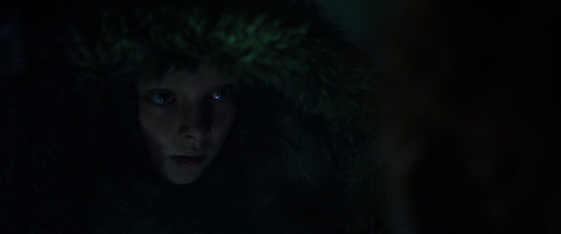 War for the Planet of the Apes (2017) screencap 12003