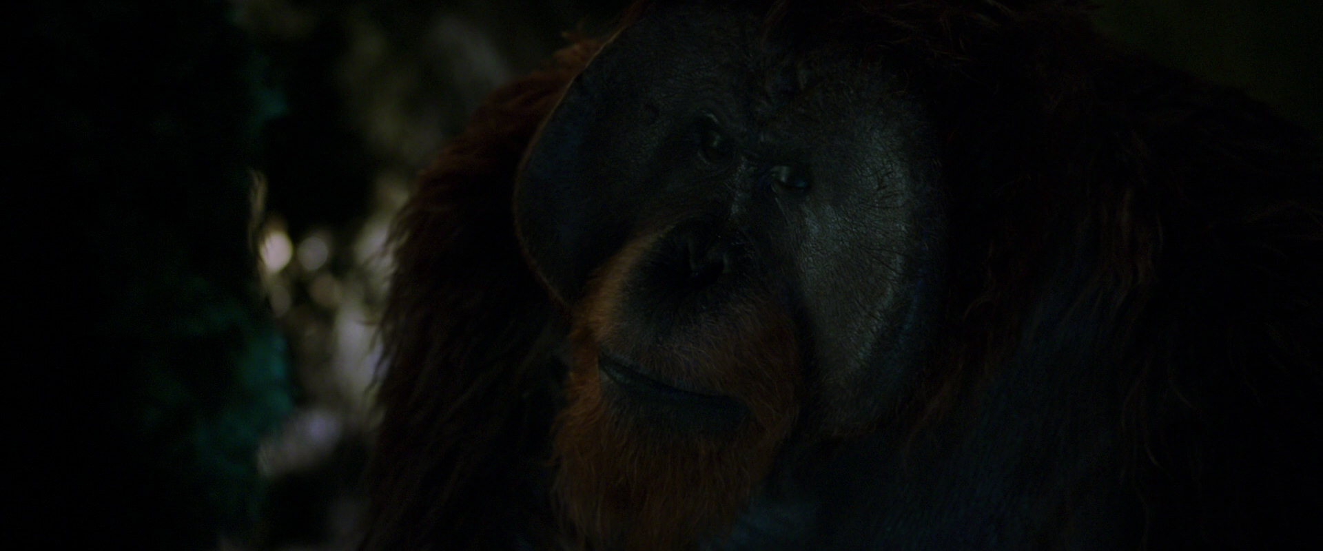 War for the Planet of the Apes (2017) HD screenshot 12005