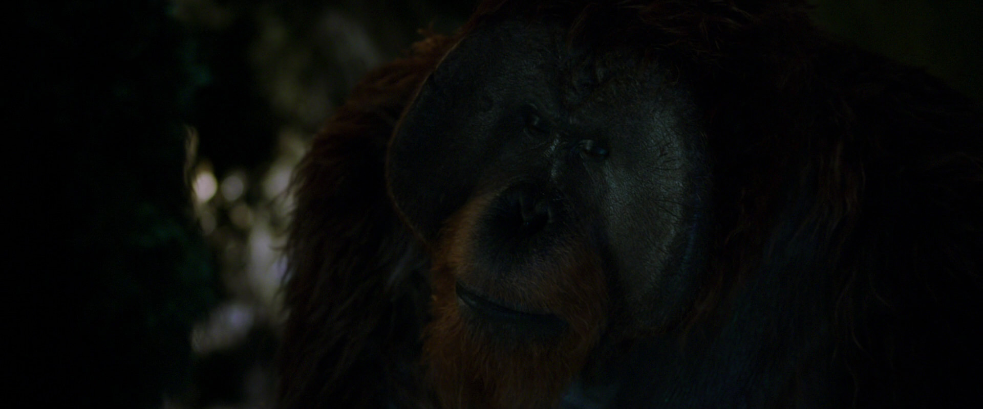 War for the Planet of the Apes (2017) screencap 12006