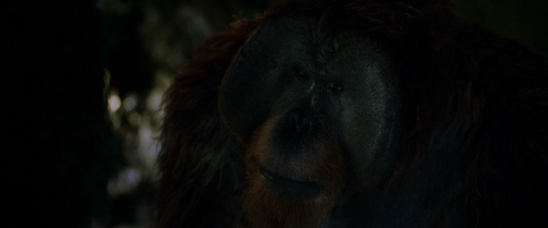 War for the Planet of the Apes (2017) movie still 12007