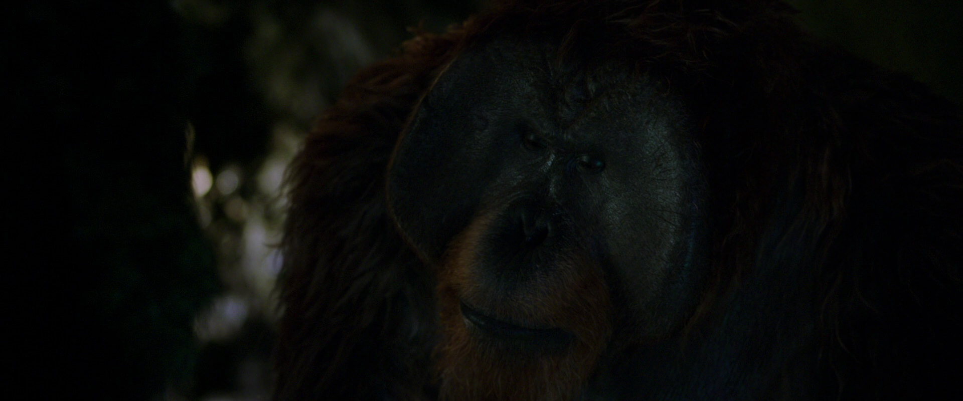 War for the Planet of the Apes (2017) HD screenshot 12008