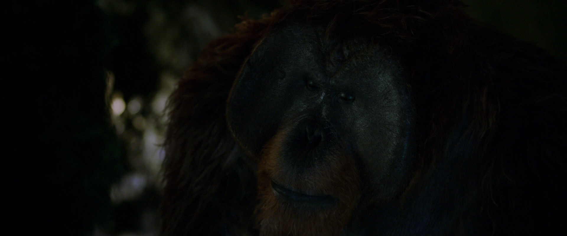 War for the Planet of the Apes (2017) screencap 12009